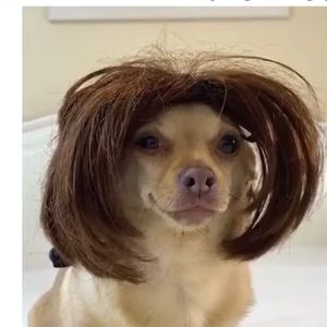 Meet your Posher, Adamari